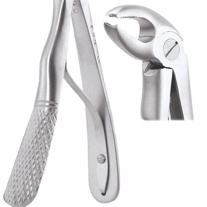 GDC Extraction Forceps Lower Molars Pedo Standard (FX2CS) – DentoClick.com