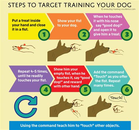 Image result for Target Training for Dogs