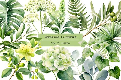Free clip art greenery, Download Free clip art greenery png images ...
