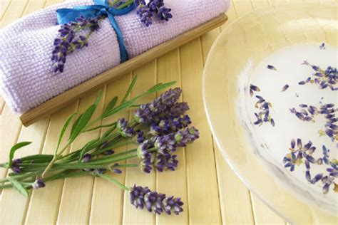 DIY Lavender Milk Bath Recipe – VedaOils