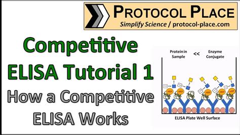 Image result for Competitive ELISA Protocol