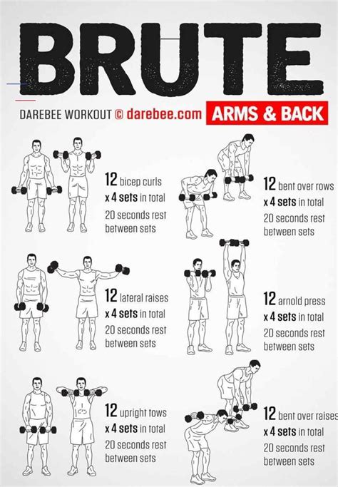 #dumbbellworkout | Weight training workouts, Dumbbell workout at home ...