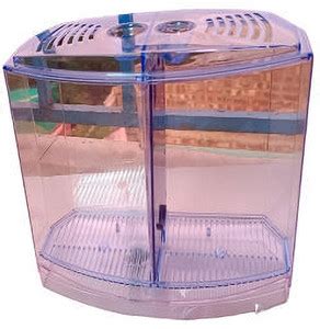 SWEETY CLOUR FISH Betta Double House Tank_1 L. water tank for Two ...
