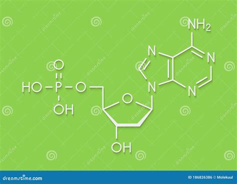 Deoxyadenosine Monophosphate DAMP Nucleotide Molecule. DNA Building ...