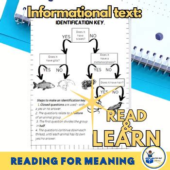 Image result for Identification key Tutorial