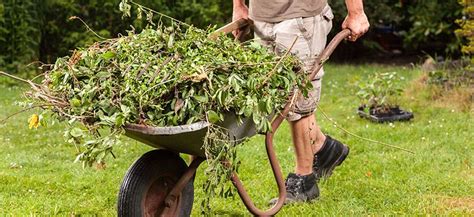 Small. Skip 的图像结果