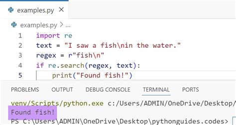 Image result for Raw Python Code File