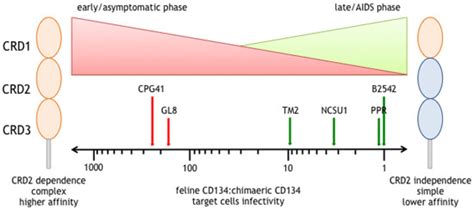 The Comparative Value of Feline Virology Research: Can Findings from ...