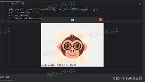OpenCV 4 5 5 Python Pip Install 的图像结果