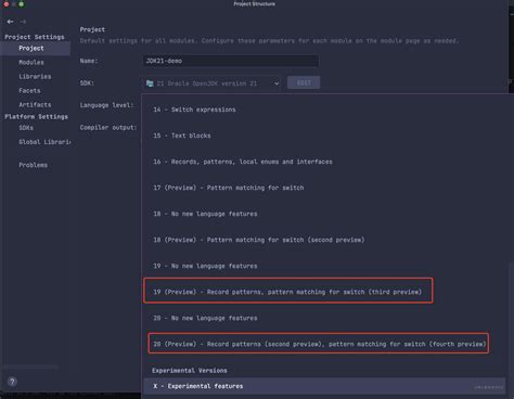 Java 1.21 Execute Guide 的图像结果
