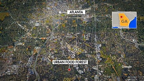 Atlanta food forest becomes a resource for those in need amid the ...
