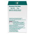 Himalaya Rumalaya Pain Balm – Himalaya Wellness (India)