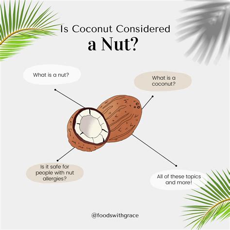 Is coconut considered a nut? - Foods with Grace