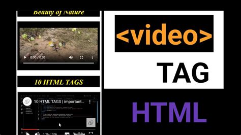 Image result for HTML Video Tag Example