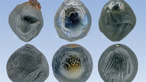 Alien Material 的图像结果