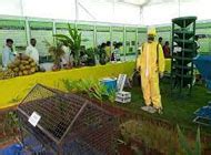 Wavar - Online store