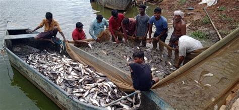 In Pictures: Unique Protest in Andhra Pradesh's Dosapadu Village by ...