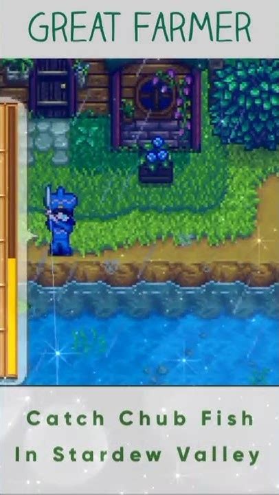 Catch Chub Fish STARDEW VALLEY - YouTube
