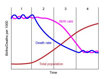 Demographic Transition - Geography Notes