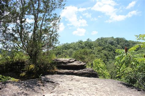 Cumberland Gal: Window Cliffs State Natural Area Hike