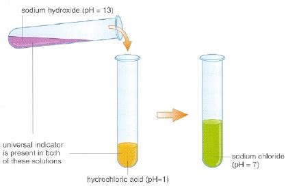 Image result for Neutralisation Demonstration