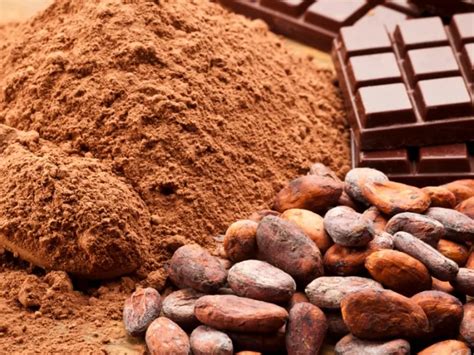 Treat Yourself To Indulgent Hot Chocolate With These Rich Cocoa Powders!