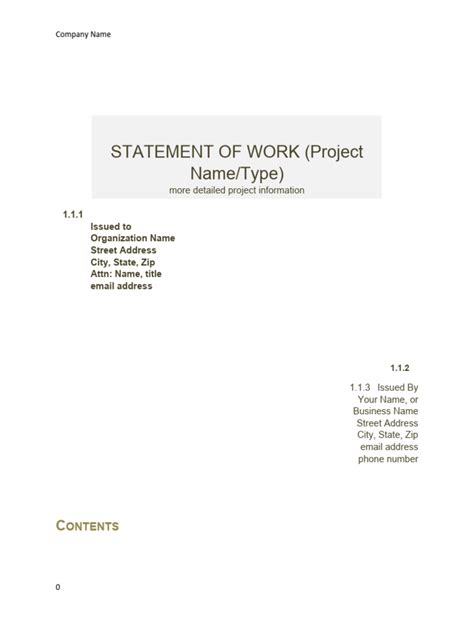 Statement of Work - Template | PDF | Computing | Systems Engineering