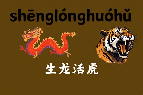 Full Of Life And Energy-生龙活虎 (shēnɡ lónɡ huó hǔ) - ChineseLearning.Com