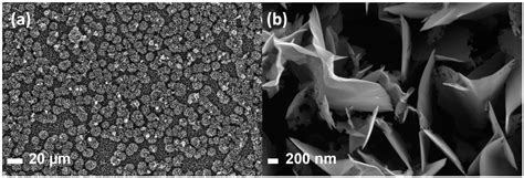 Macro-, Micro- and Nano-Roughness of Carbon-Based Interface with the ...