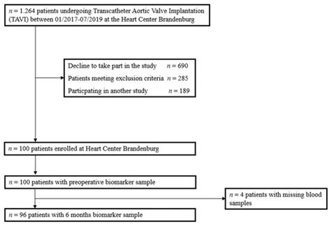 Physical Performance and Non-Esterified Fatty Acids in Men and Women ...