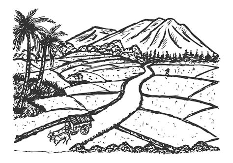 Drawing illustration of rice fields with mountains palm trees a village ...