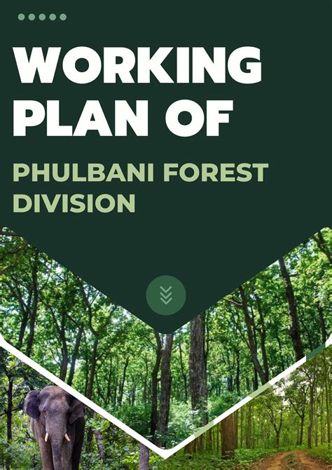 Working Plan Division