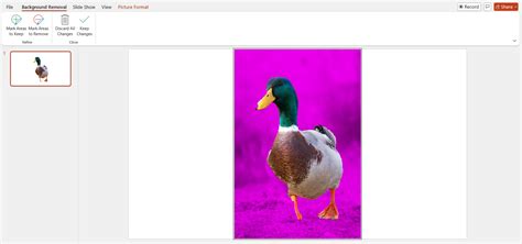 Image result for Remove Background PowerPoint