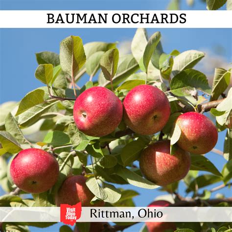 Bauman Orchards - Visit Ohio Today