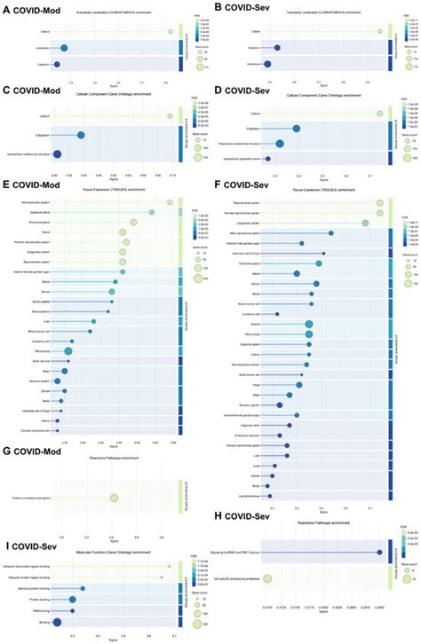 Proteomic Profiling of Human Peripheral Blood Cell Targets of IgG ...