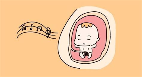 怀孕时期胎动次数多少才是正确的？ - 知乎