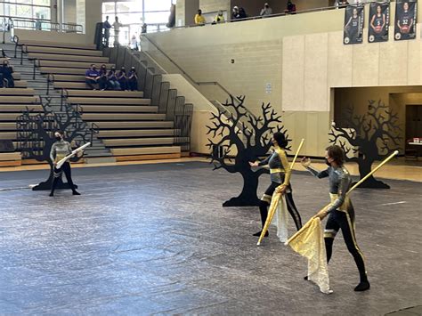 Image result for Color Guard Performance