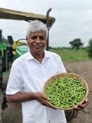 Vegetable Soybean Variety - Swarna Vasundhara: An opportunity for Agri ...