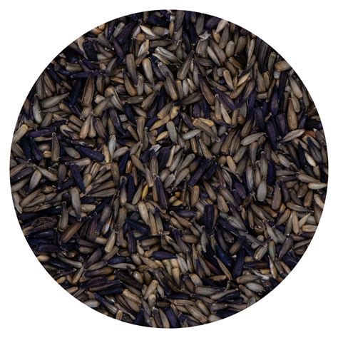 Cracked Sunflower Seeds For Birds at Anna Octoman blog