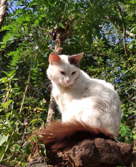 Nature Undefined Edge 的图像结果