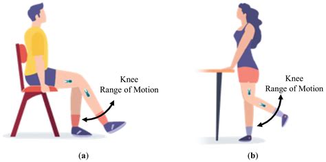 Flexion Of The Knee