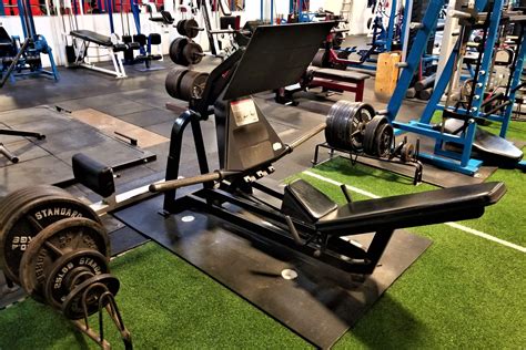 Cybex Squat Press