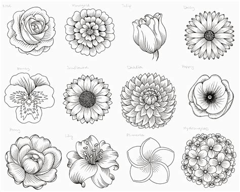 Flowers Drawings Images