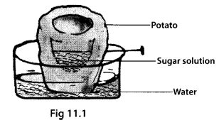 Image result for Class 7th Science Chapter 11 Topper