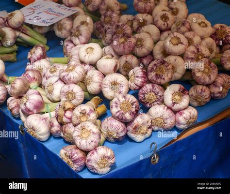 Garlic on a market stand in the medivial town of Sarlat, France Stock ...