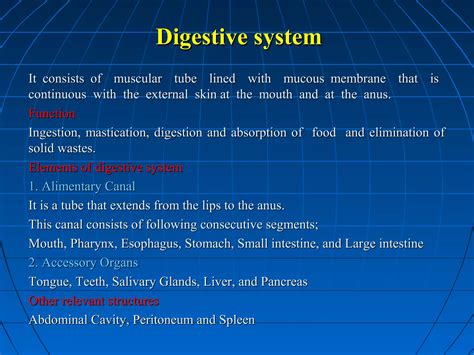 Image result for Digestive System Lecture