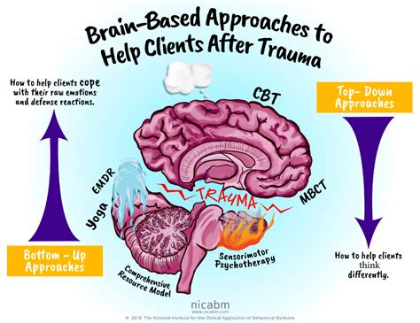 Image result for Trauma Brain Processing
