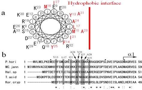 Life | Special Issue : Extremophiles and Extreme Environments