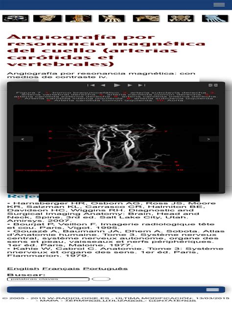 Image result for Color Pattern