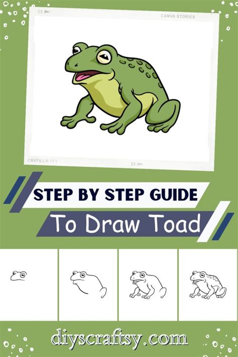 Image result for Toad Basic Drawing